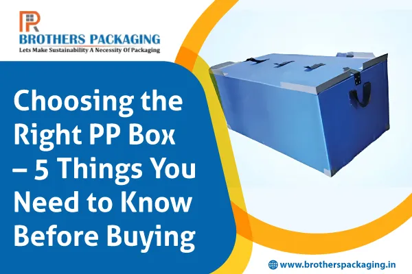 Choosing the Right PP Box – 5 Things You Need to Know Before Buying