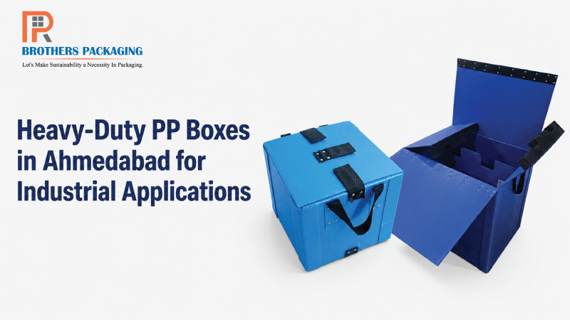Heavy-Duty PP Boxes in Ahmedabad for Industrial Applications