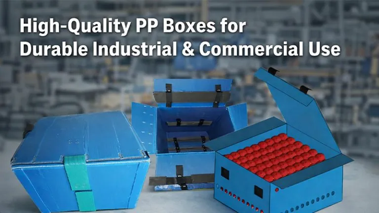 High-Quality PP Boxes for Durable Industrial and Commercial Use