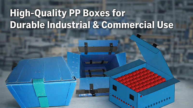 High-Quality PP Boxes for Durable Industrial & Commercial Use