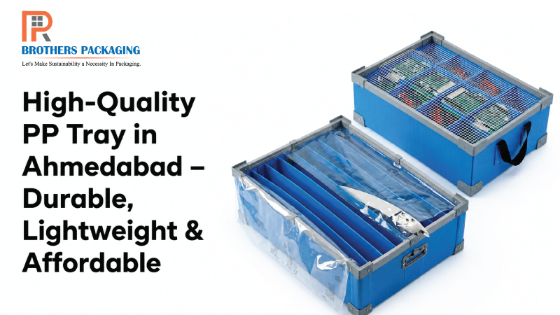 High-Quality PP Tray in Ahmedabad – Durable, Lightweight & Affordable