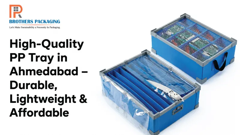 High-Quality PP Tray in Ahmedabad – Durable, Lightweight & Affordable