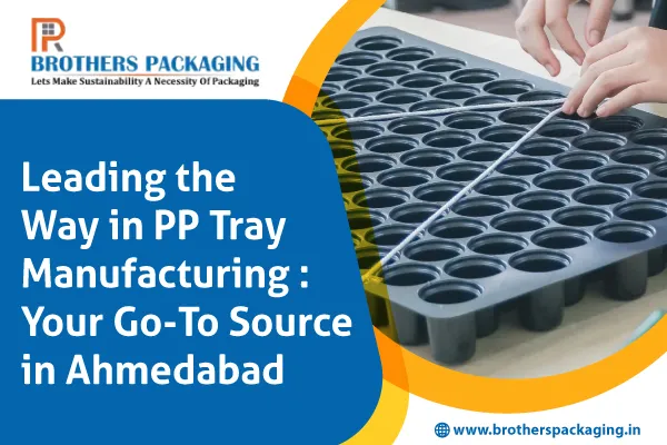 Leading the Way in PP Tray Manufacturing: Your Go-To Source in Ahmedabad