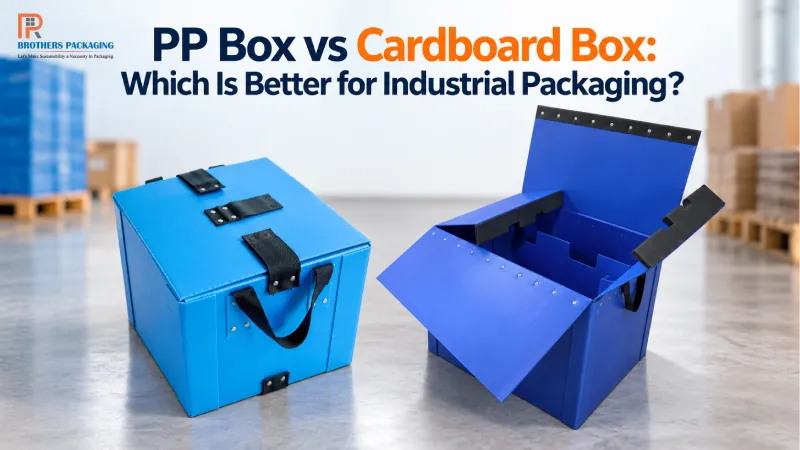 PP Box vs Cardboard Box: Which Is Better for Industrial Packaging?