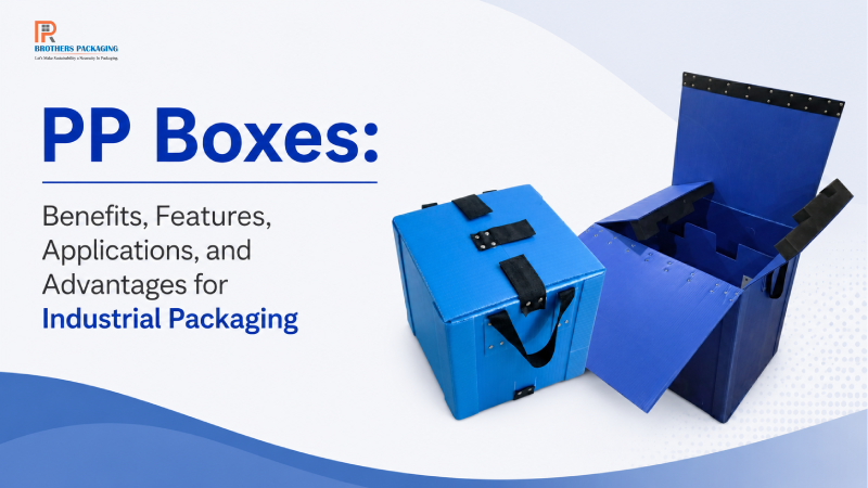 PP Boxes: Benefits, Features, Applications, and Advantages for Industrial Packaging