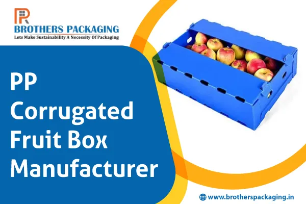 PP Corrugated Fruit Box Manufacturer: Durable & Reliable Packaging Solutions