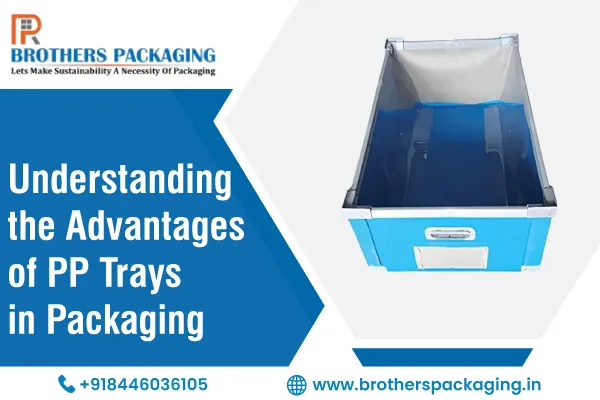 Understanding the Advantages of PP Trays in Packaging