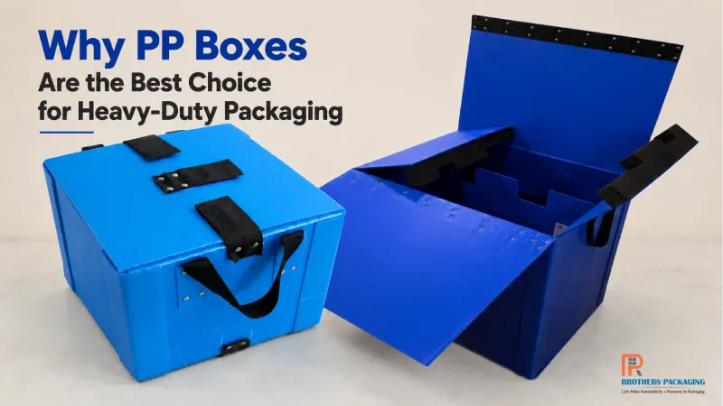 Why PP Boxes Are the Best Choice for Heavy-Duty Packaging