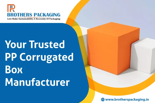 Your Trusted PP Corrugated Box Manufacturer