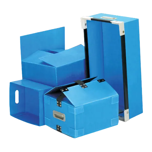 Innovative PP Box & PP Tray Manufacturer & Supplier in Ahmedabad