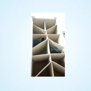 PP TRAY TRIANGLE PARTITION SHAPE Manufacturer in Ahmedabad