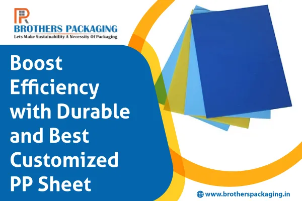 Boost Efficiency with Durable and Best Customized PP Sheet
