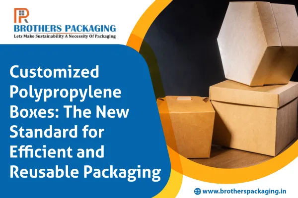 Customized Polypropylene Boxes: The New Standard for Efficient and Reusable Packaging