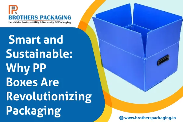 Smart and Sustainable: Why PP Boxes Are Revolutionizing Packaging