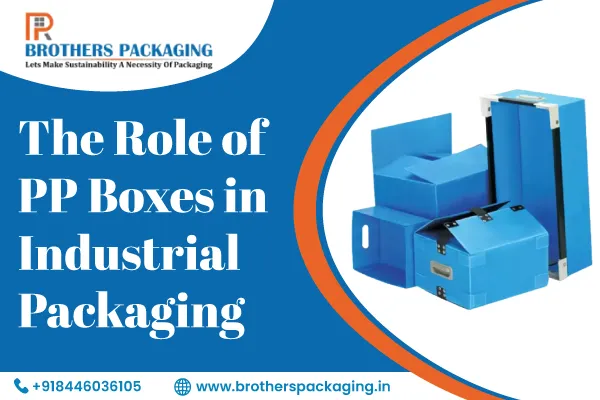 The Role of PP Boxes in Industrial Packaging