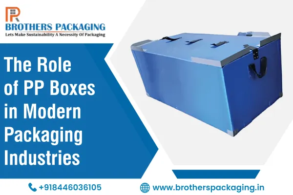 The Role of PP Boxes in Modern Packaging Industries