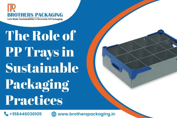 The Role of PP Trays in Sustainable Packaging Practices