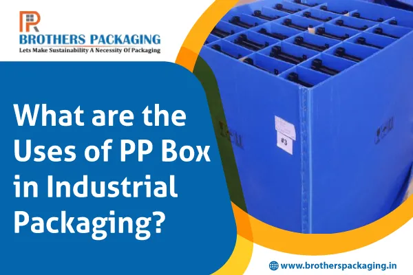 What are the Uses of PP Box in Industrial Packaging?