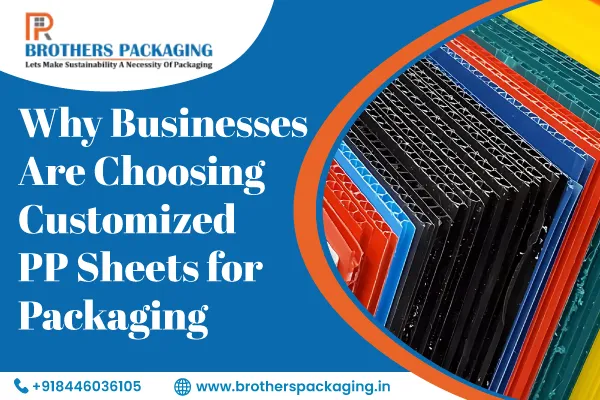 Why Businesses Are Choosing Customized PP Sheets for Packaging