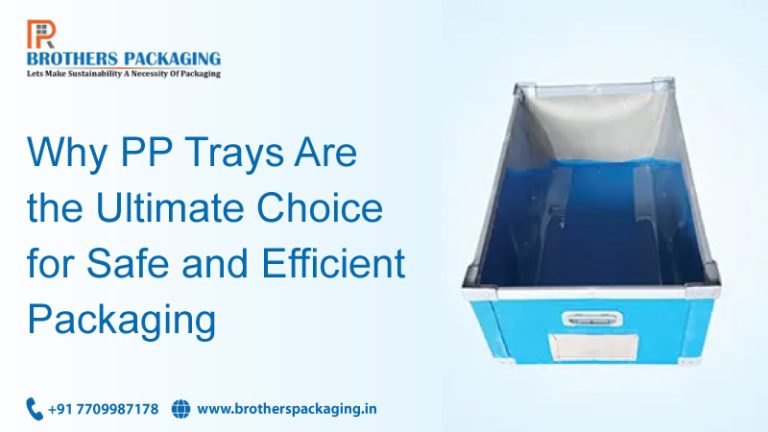 Why PP Trays Are the Ultimate Choice for Safe and Efficient Packaging