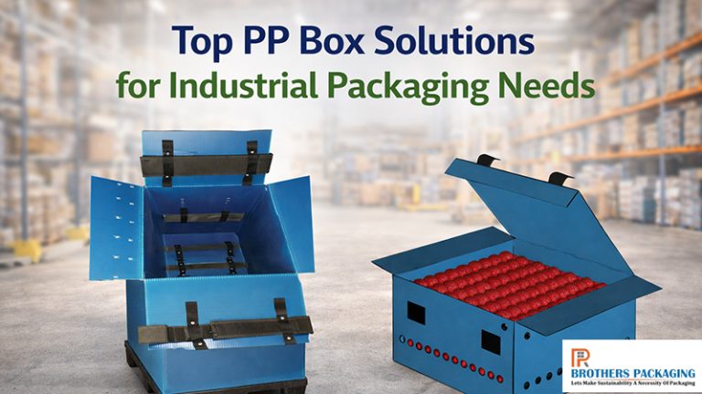 Top PP Box Solutions for Industrial Packaging Needs