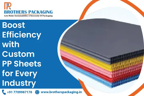 Boost Efficiency with Custom PP Sheets for Every Industry