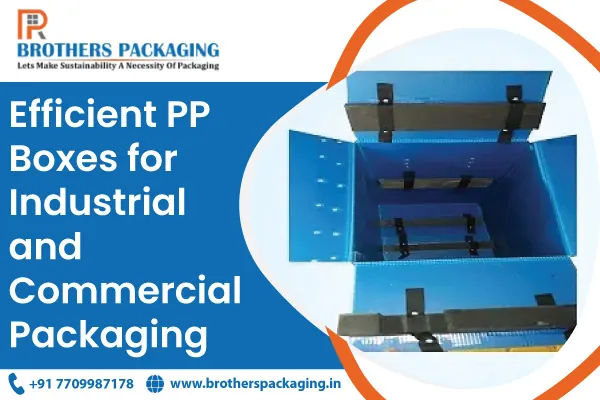Efficient PP Boxes for Industrial and Commercial Packaging