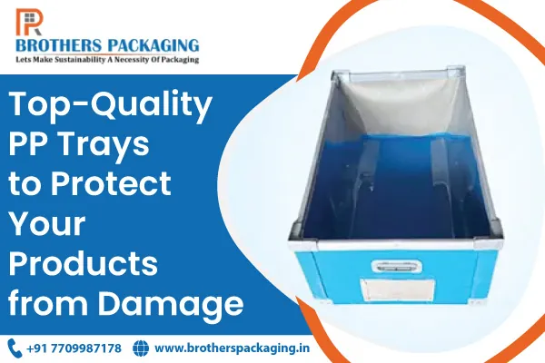 Top-Quality PP Trays to Protect Your Products from Damage