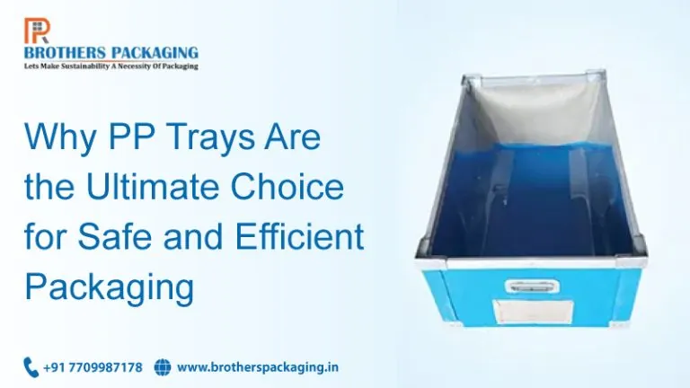 Why PP Trays Are the Ultimate Choice for Safe and Efficient Packaging