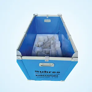 PP TRAY WITH EPE FOAM FITMENT Manufacturer in Ahmedabad